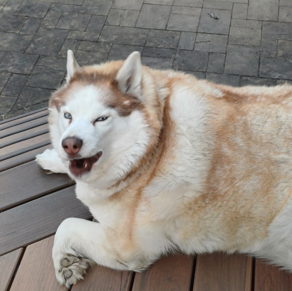 342